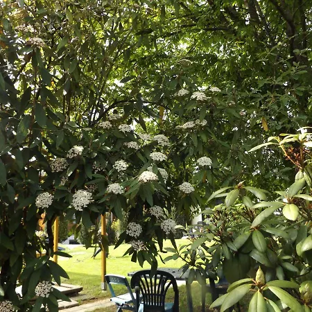 Tatil Evi Ferienhaus-hotel 