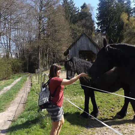 Tatil Evi Ferienhaus-hotel 