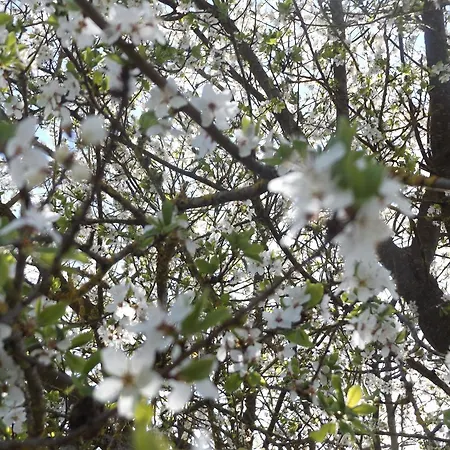 Semesterbostad Ferienhaus-hotel 