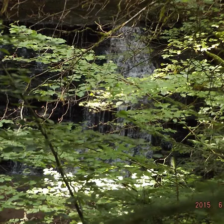 Tatil Evi Ferienhaus-hotel 